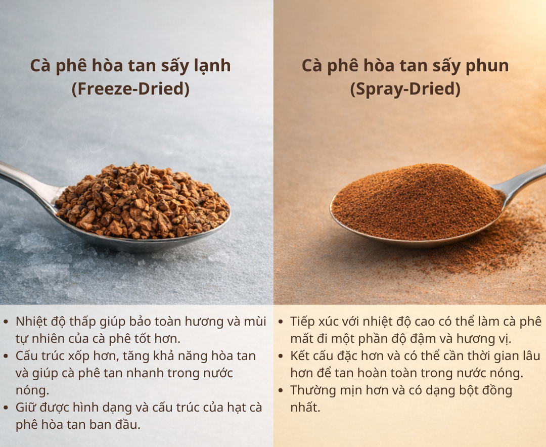 인스턴트 커피의 동결건조(Freeze-Dried)와 분무건조(Spray-Dried) 공정 비교